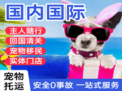 梅州机场邮寄国际宠物托运 【国